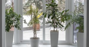 DSC 9773 e1746439783956